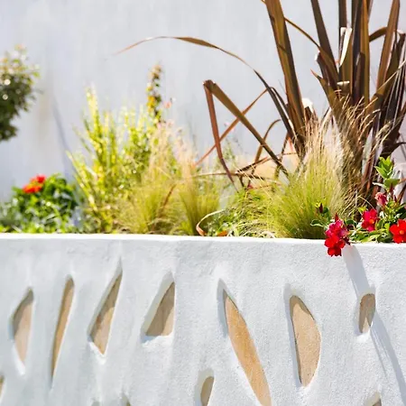 Acron 利迈纳里亚